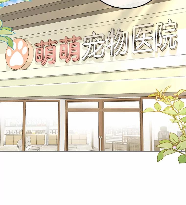 《你好？兽医先生！》21.重回公园 第2页