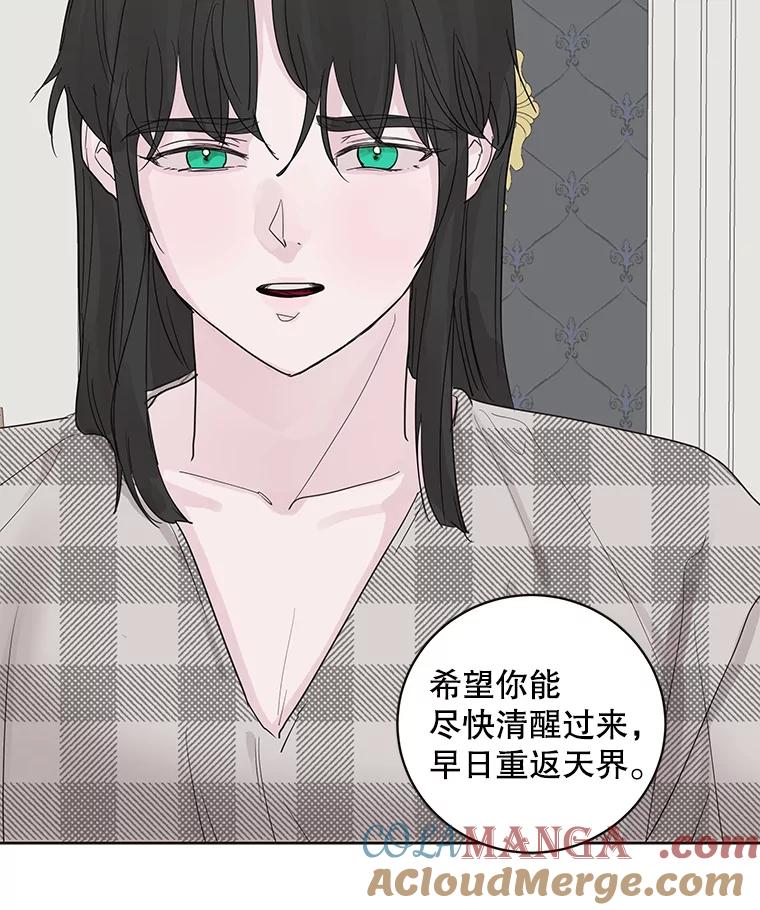 《仙女的惩罚》61.他爱的是我？ 第82页