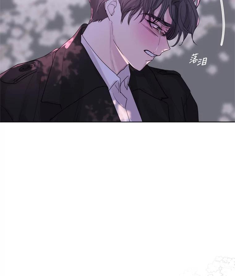 《仙女的惩罚》63.解除婚约 第96页
