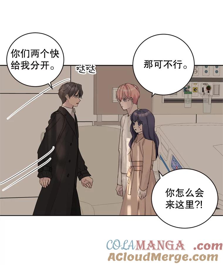 《仙女的惩罚》63.解除婚约 第17页