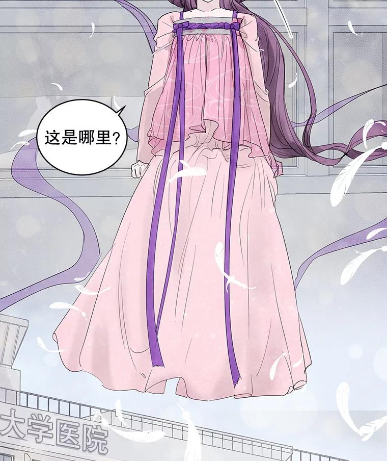《仙女的惩罚》66.梦境 第55页