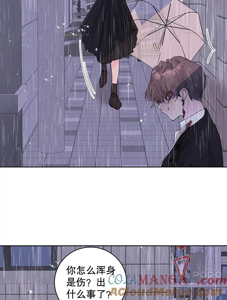 《仙女的惩罚》67.暗算 第37页