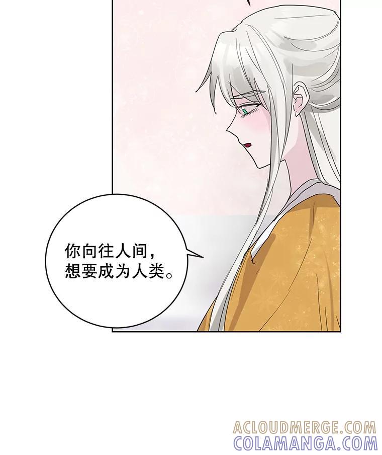 《仙女的惩罚》75.再见林希妍 第52页