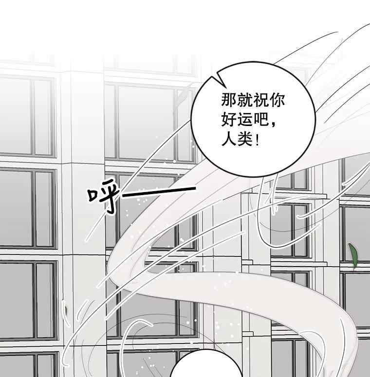 《仙女的惩罚》75.再见林希妍 第41页