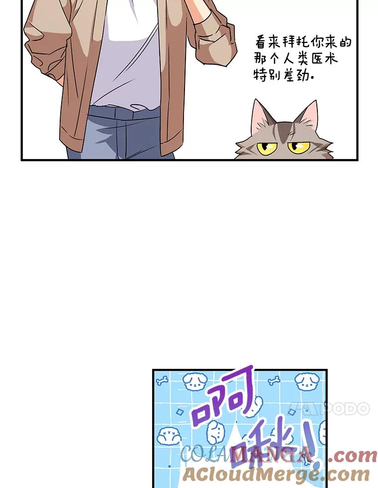《你好？兽医先生！》8.重获新生 第125页