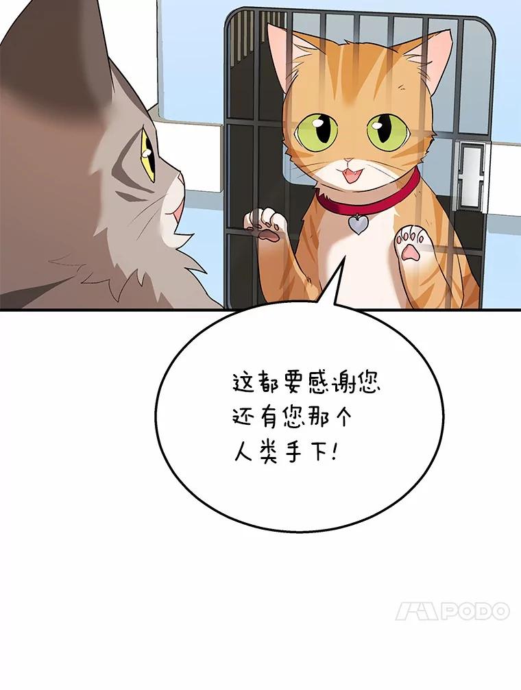 《你好？兽医先生！》8.重获新生 第98页