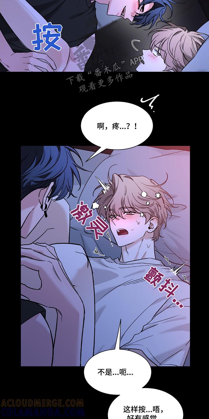 《初见心动》第207章：【番外】睡得好香 第3页