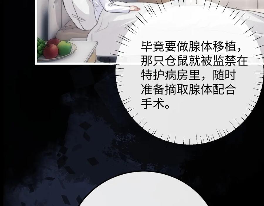垂耳执事 第21话 是宝贝也是筹码 第10页