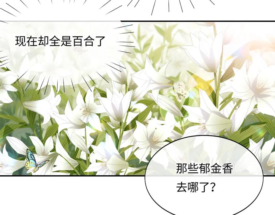 垂耳执事 特典篇2 叶晚 第74页
