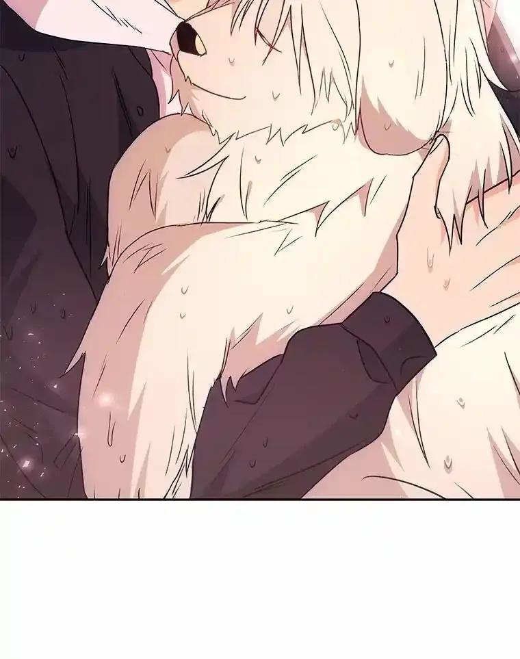《你好？兽医先生！》59.我们回家吧 第136页