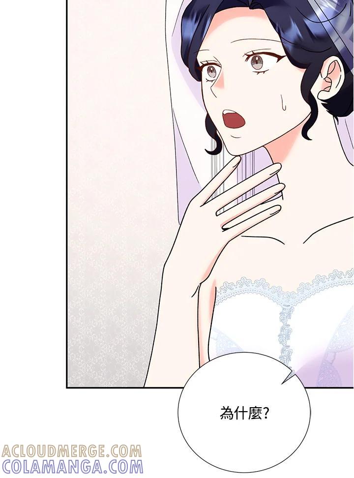 《替身未婚夫》第48话 第28页