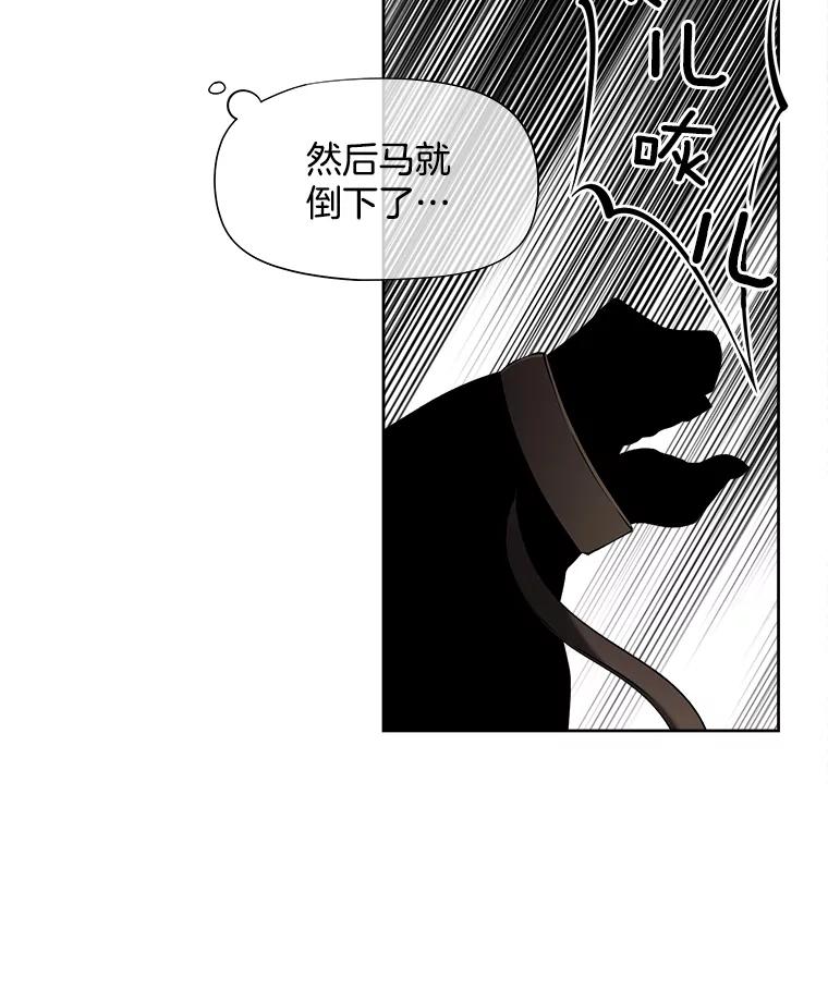 《我在婚礼当天死亡》49.重逢 第77页