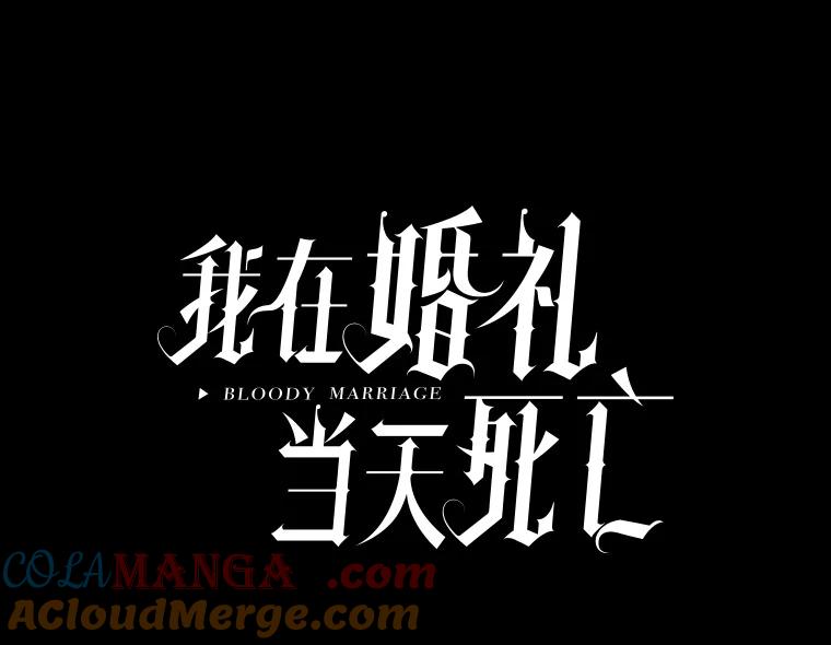 《我在婚礼当天死亡》50.温柔的哥哥 第10页