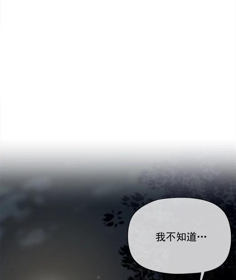 《我在婚礼当天死亡》52.威胁 第95页