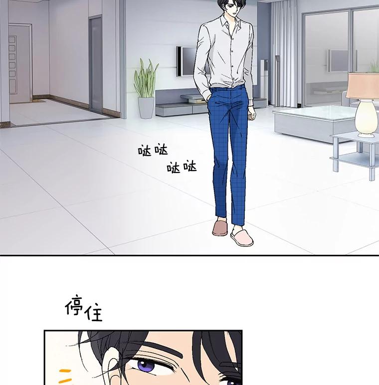 《我喜欢春天般的你》56.专属于我的春之气息 第111页