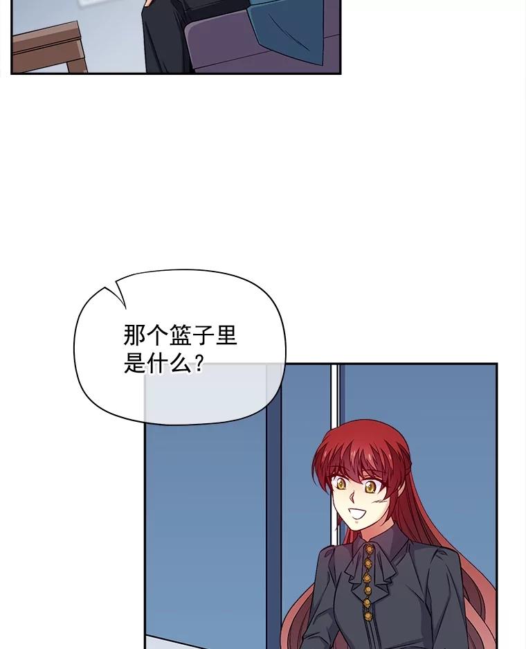 《我在婚礼当天死亡》62.混乱的伯爵府 第65页