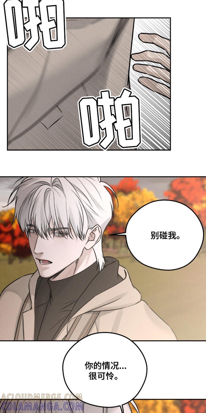 《纯白的假象》第11章：别碰我 第13页
