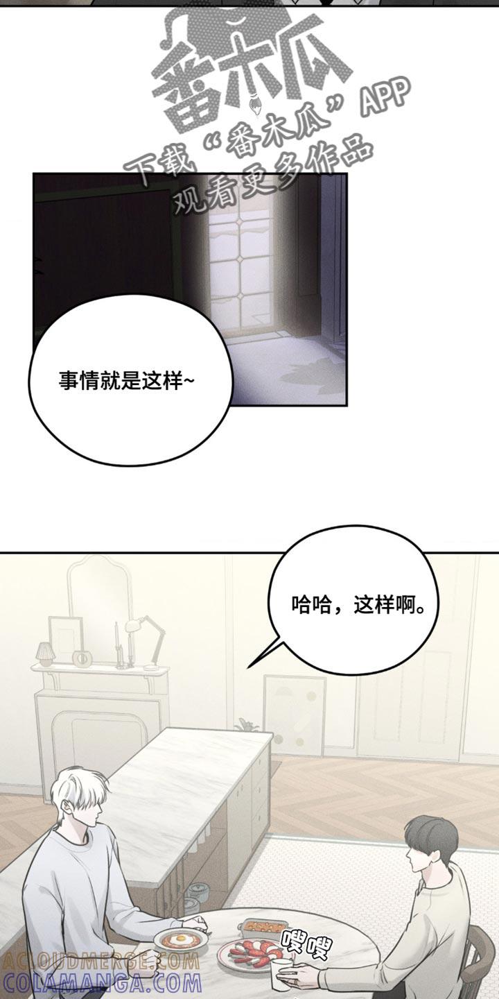 《纯白的假象》第14章：撒谎 第5页