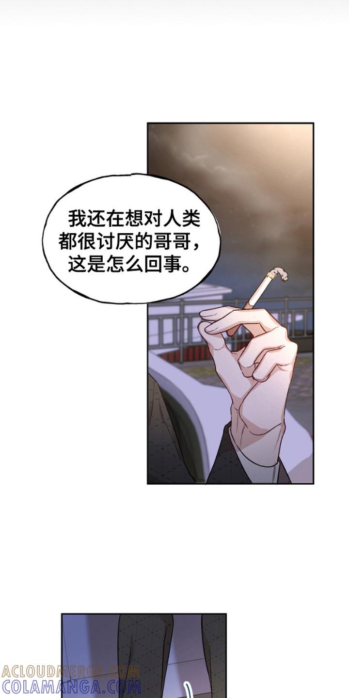 《雕刻爱你形状》第14章：调查 第21页