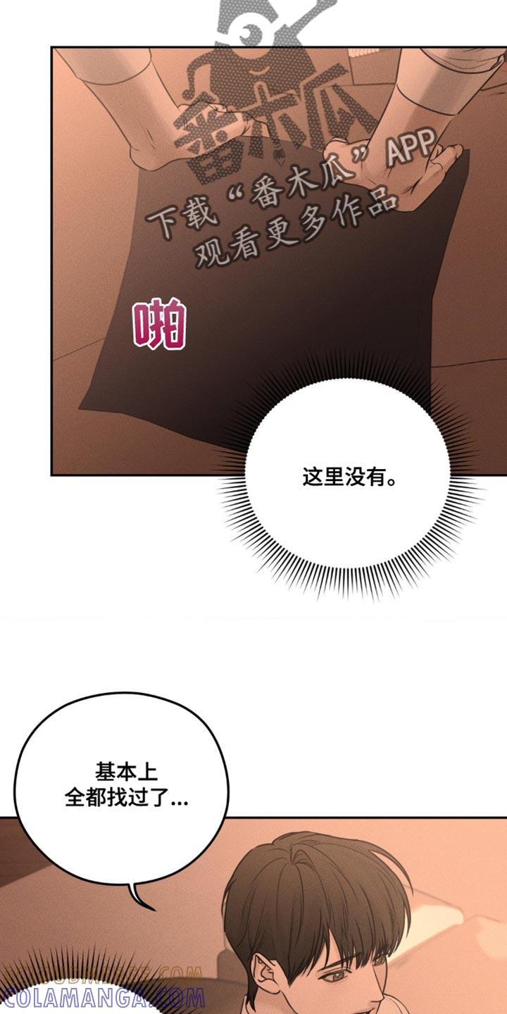 《纯白的假象》第16章：我一定给您找到 第17页