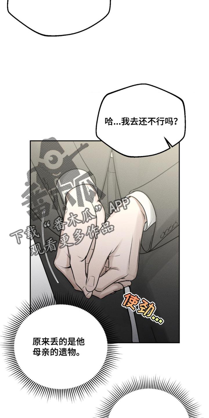 《纯白的假象》第16章：我一定给您找到 第10页