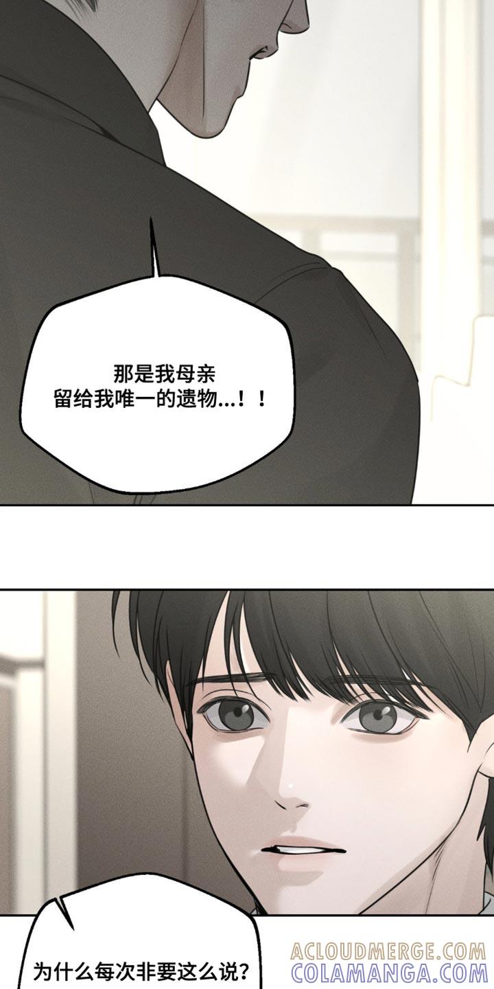 《纯白的假象》第16章：我一定给您找到 第9页
