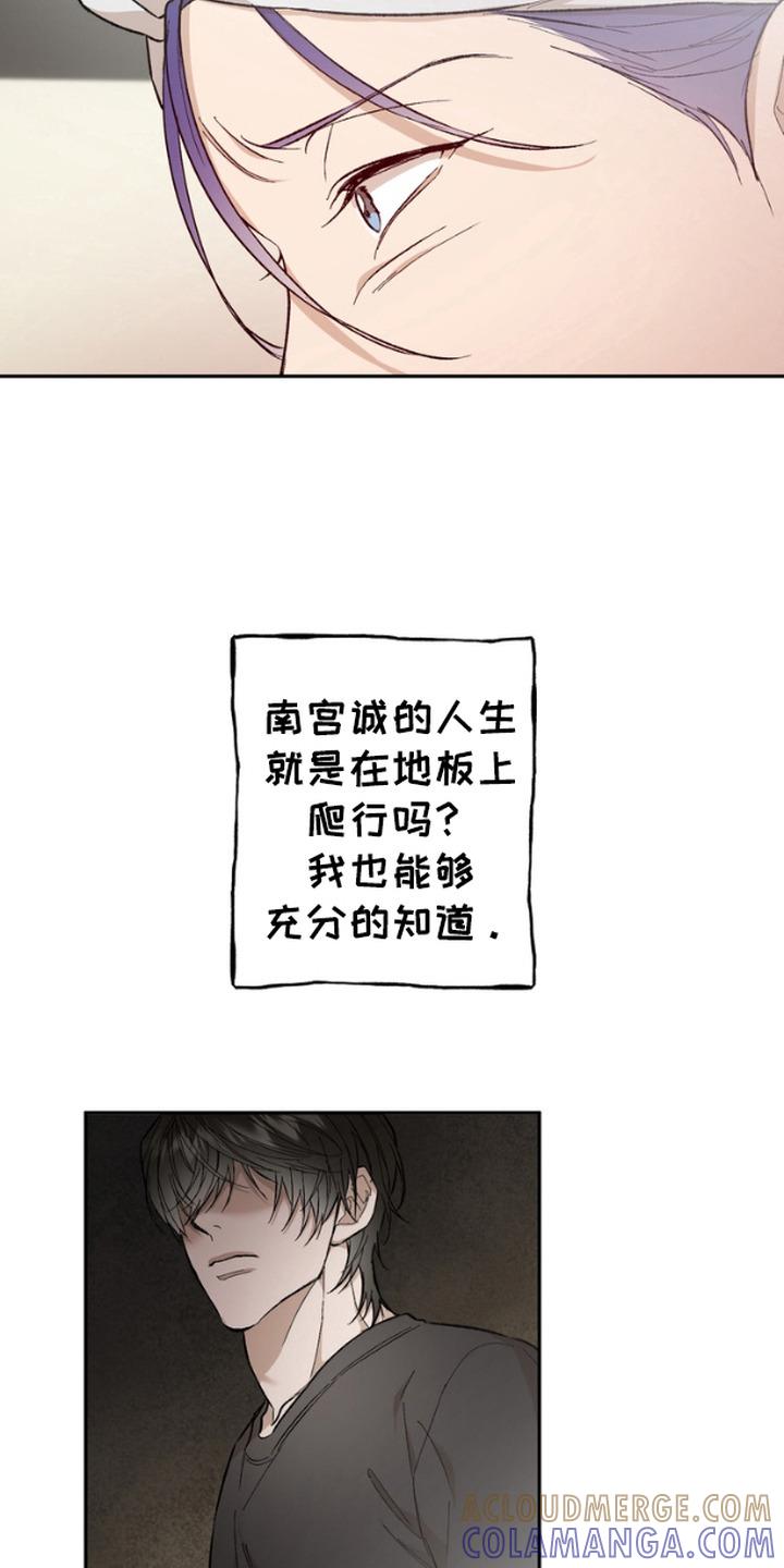 《雕刻爱你形状》第16章：忠告 第13页