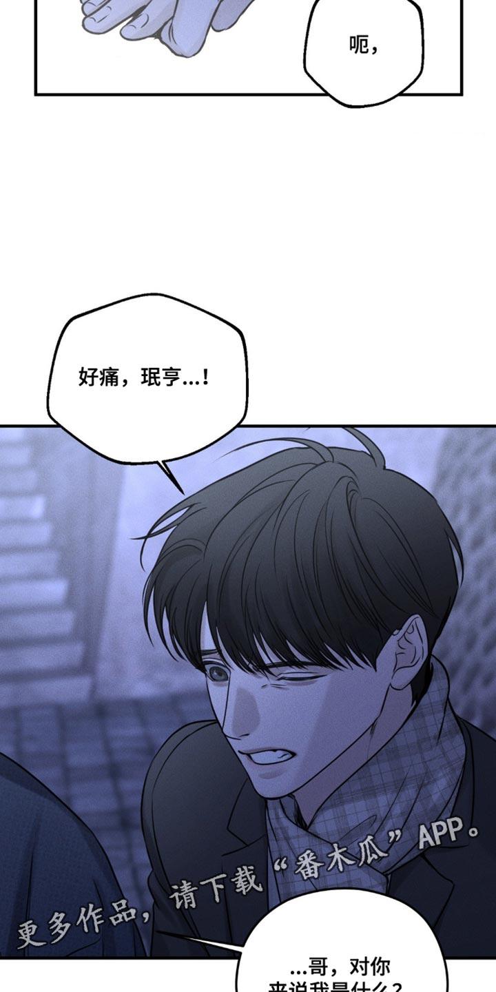 《纯白的假象》第20章：对你来说我是什么？ 第18页