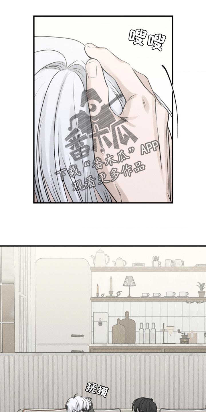 《纯白的假象》第22章：最重要的 第10页