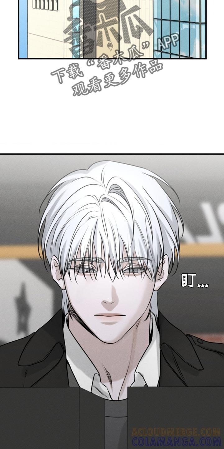 《纯白的假象》第24章：得让他们分开 第7页