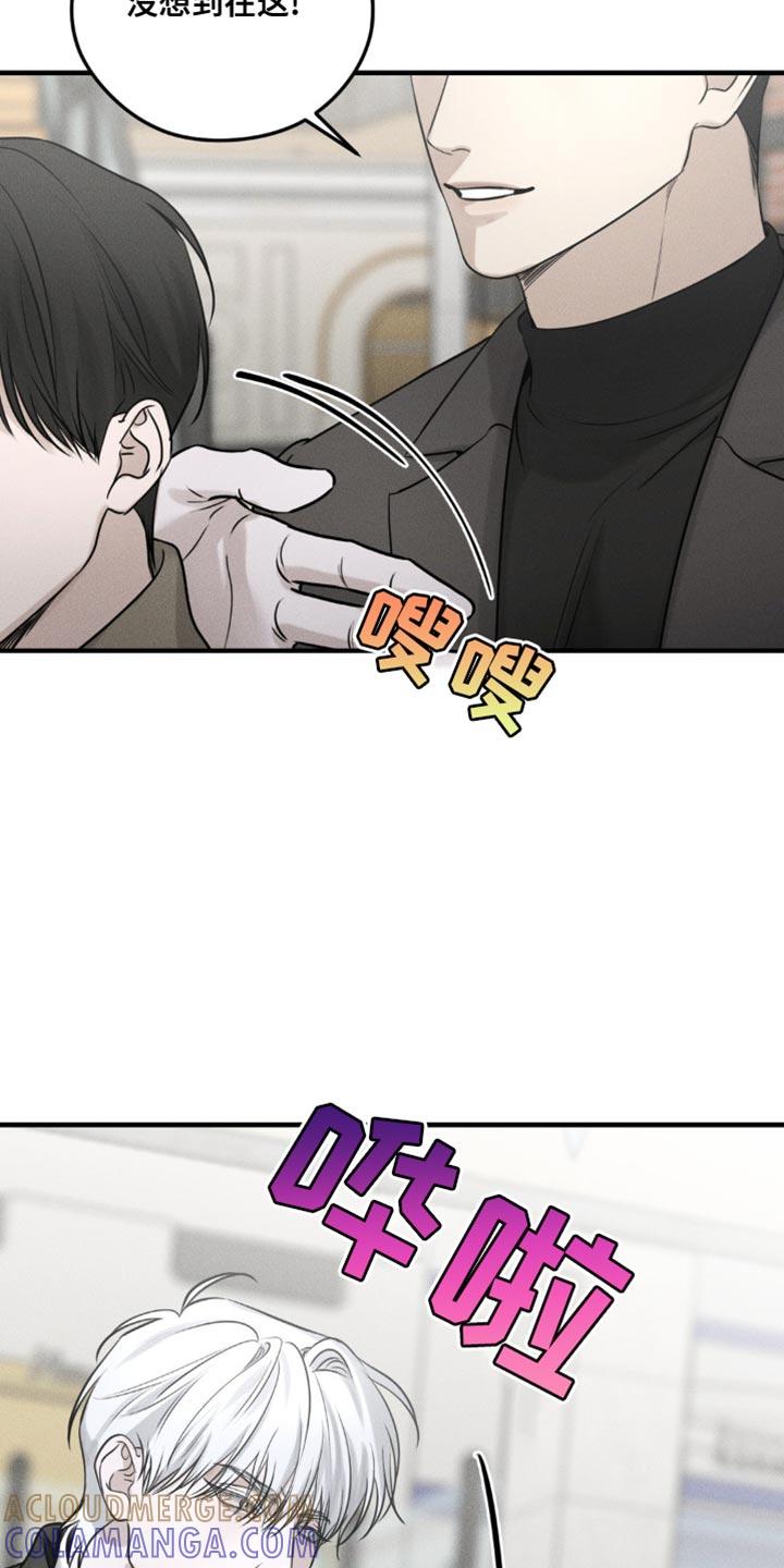 《纯白的假象》第24章：得让他们分开 第13页