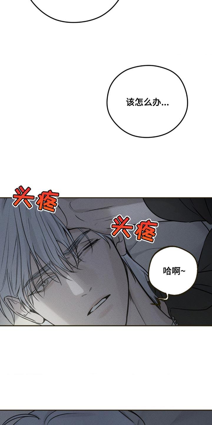 《纯白的假象》第25章：只能除掉他 第12页