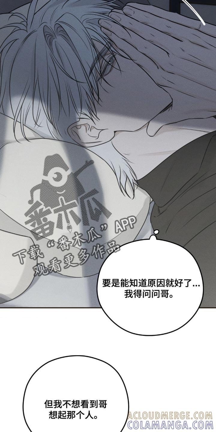 《纯白的假象》第25章：只能除掉他 第11页