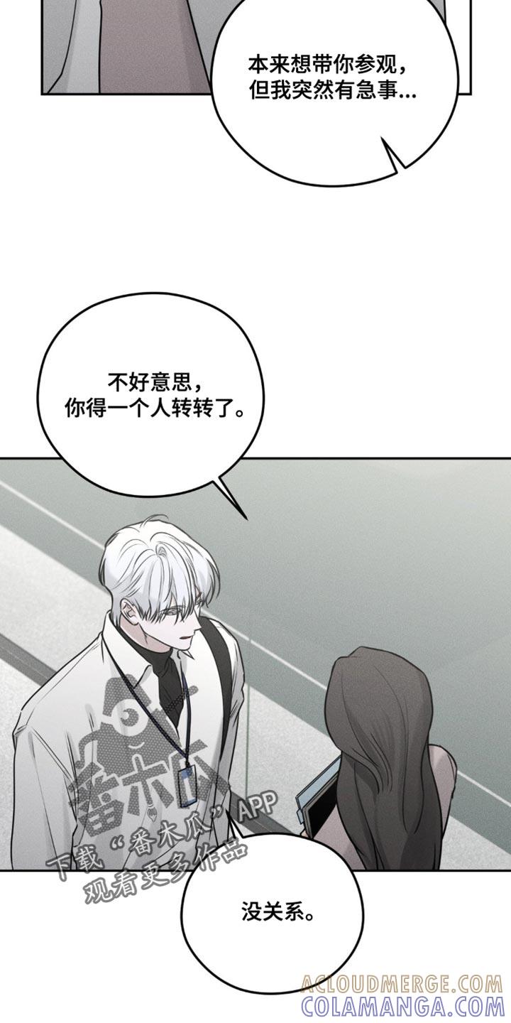 《纯白的假象》第29章：我在拍喜欢的人 第15页