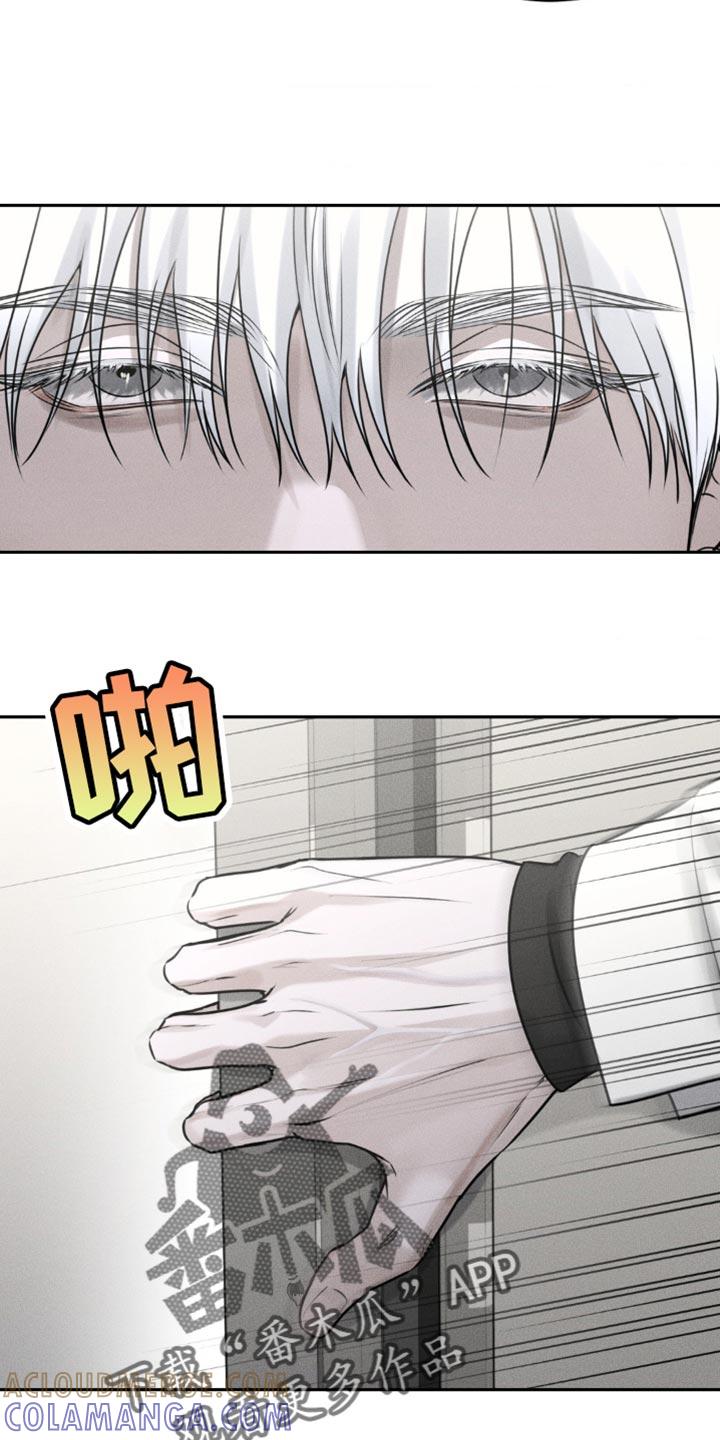 《纯白的假象》第30章：幼稚 第11页