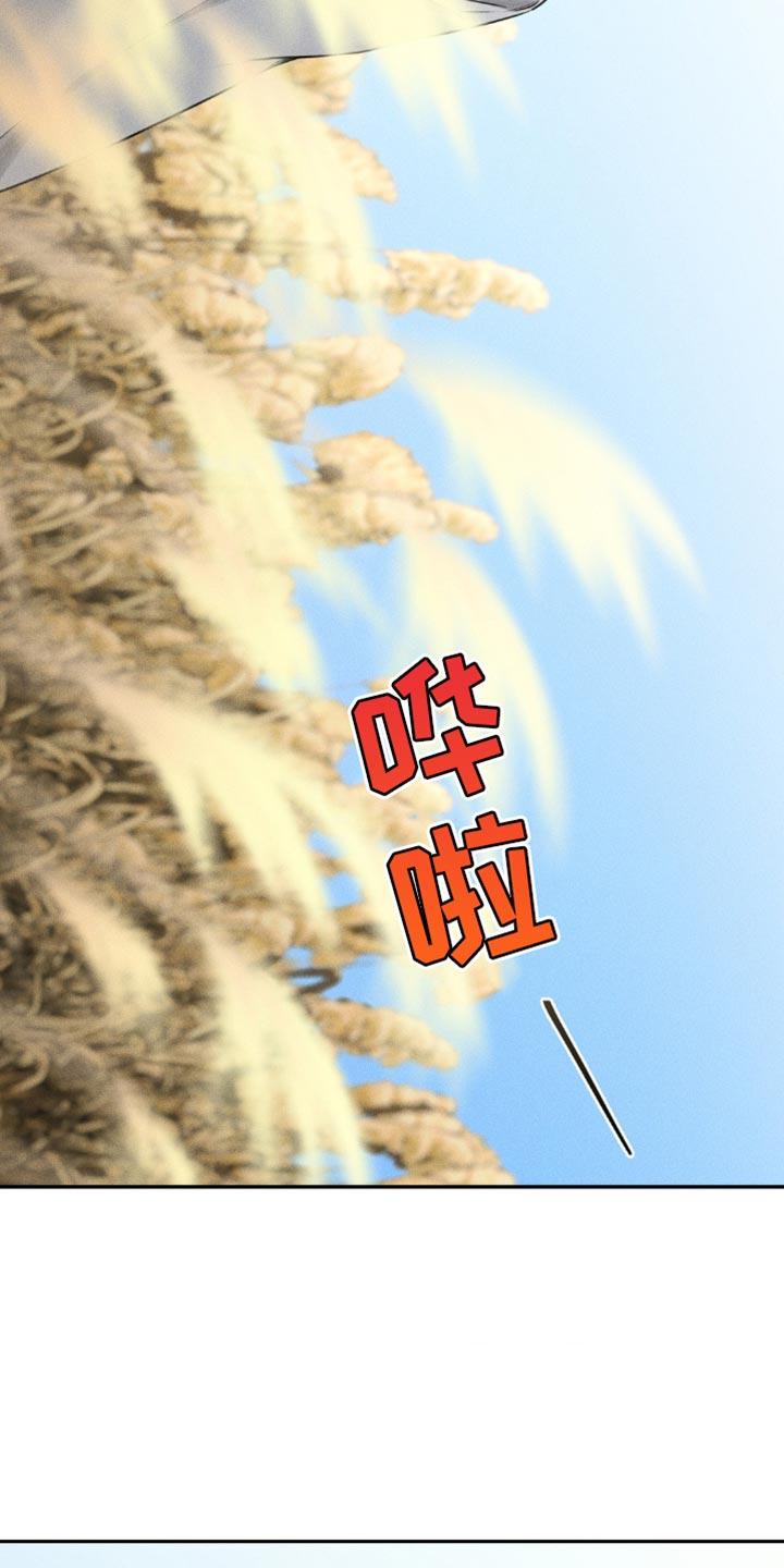 《纯白的假象》第33章：我也拍拍你 第6页