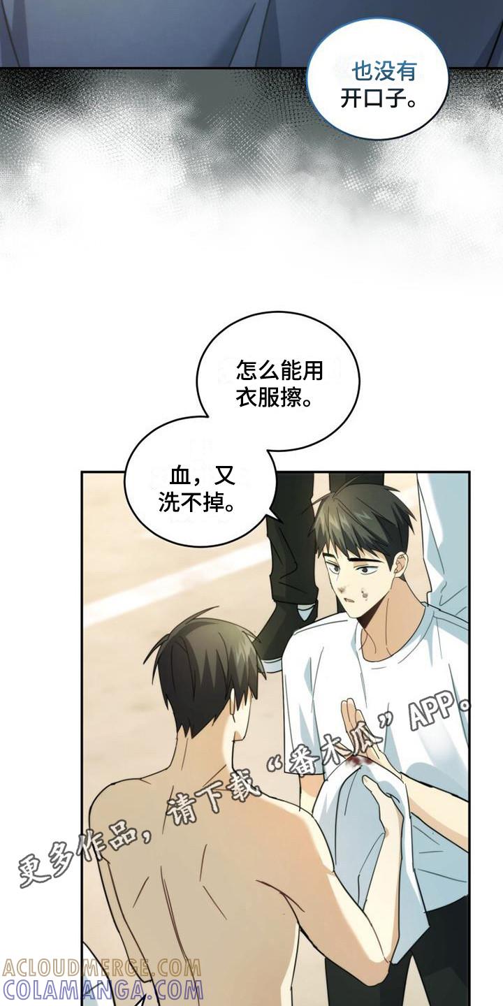 《追逐繁星》第35章：小道消息 第11页