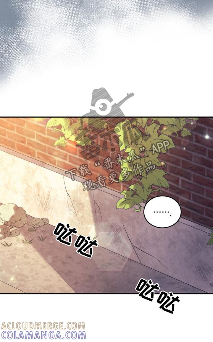 《追逐繁星》第36章：恭喜你 第11页