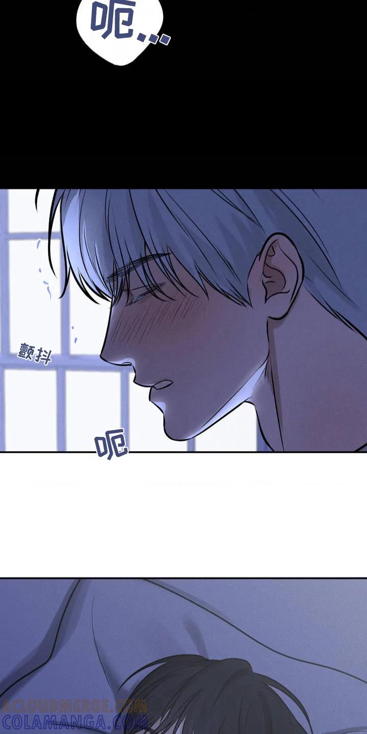 《纯白的假象》第4章：骗局 第7页