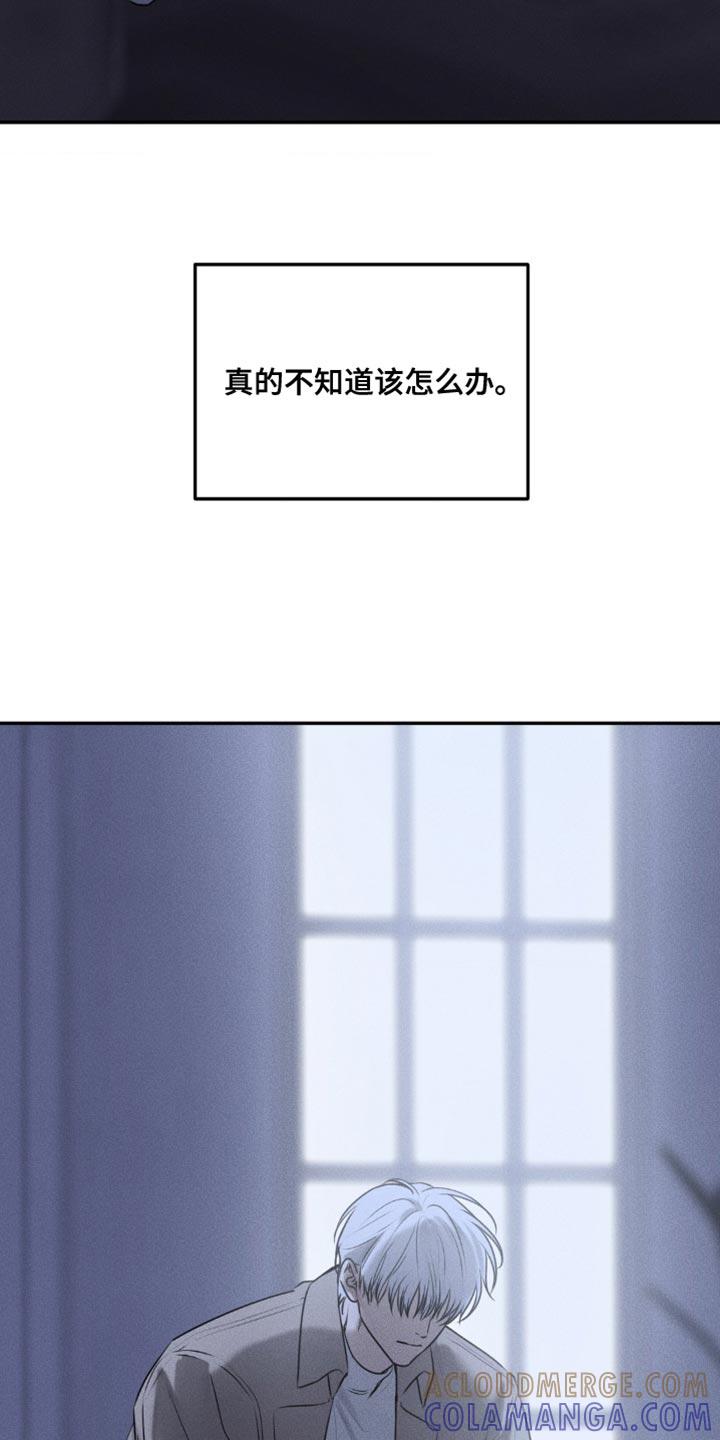 《纯白的假象》第40章：我真的不了解 第15页