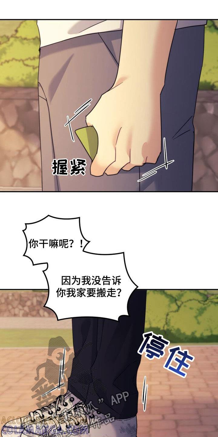 《追逐繁星》第42章：为什么生气 第21页