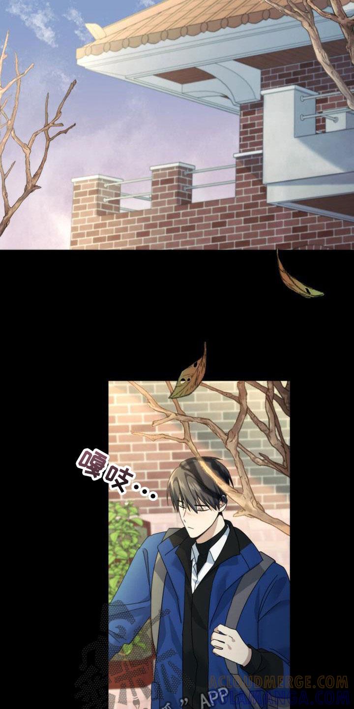 《追逐繁星》第44章：表情 第17页