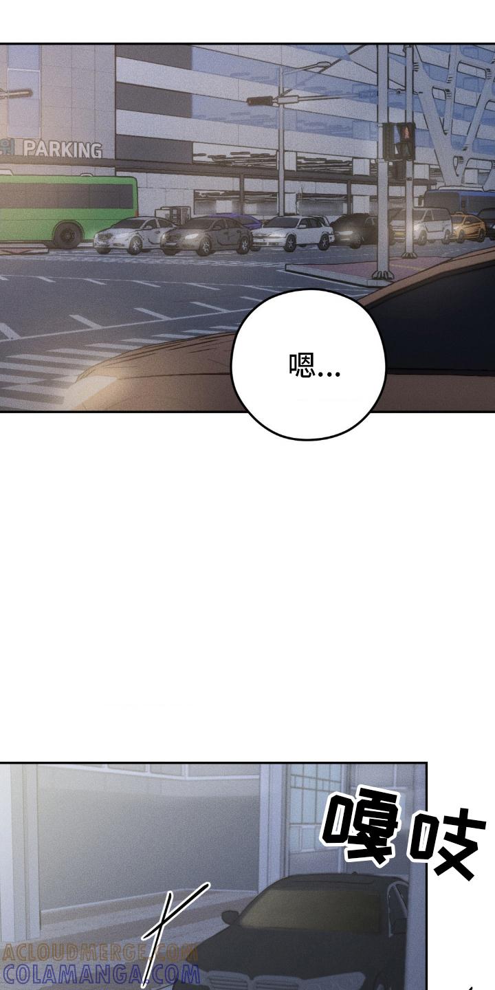 《纯白的假象》第47章：乱了分寸 第13页