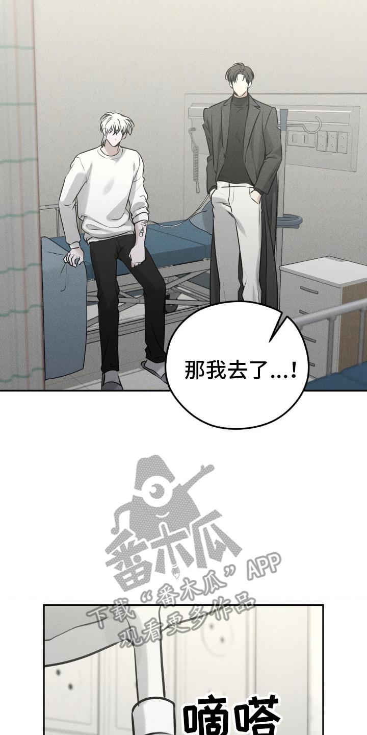 《纯白的假象》第48章：手续 第22页