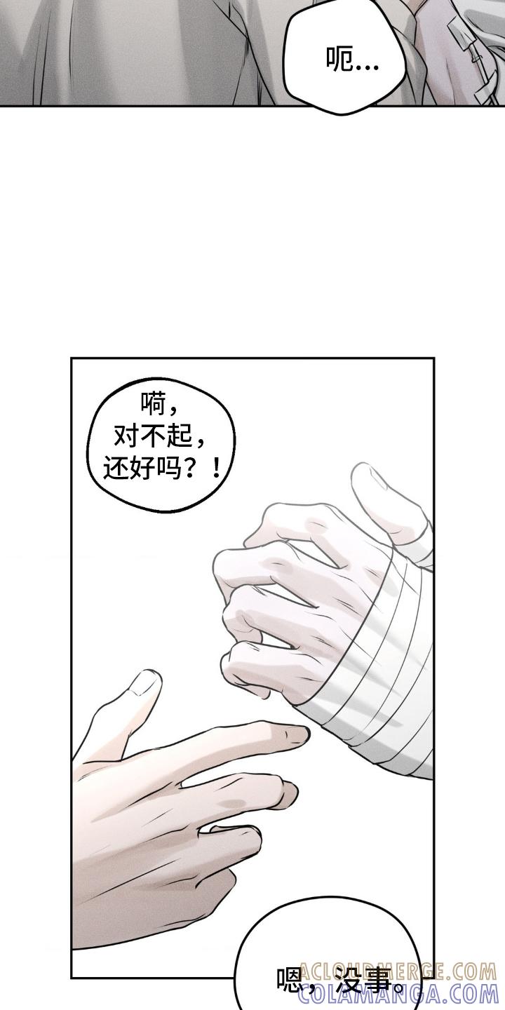 《纯白的假象》第48章：手续 第13页
