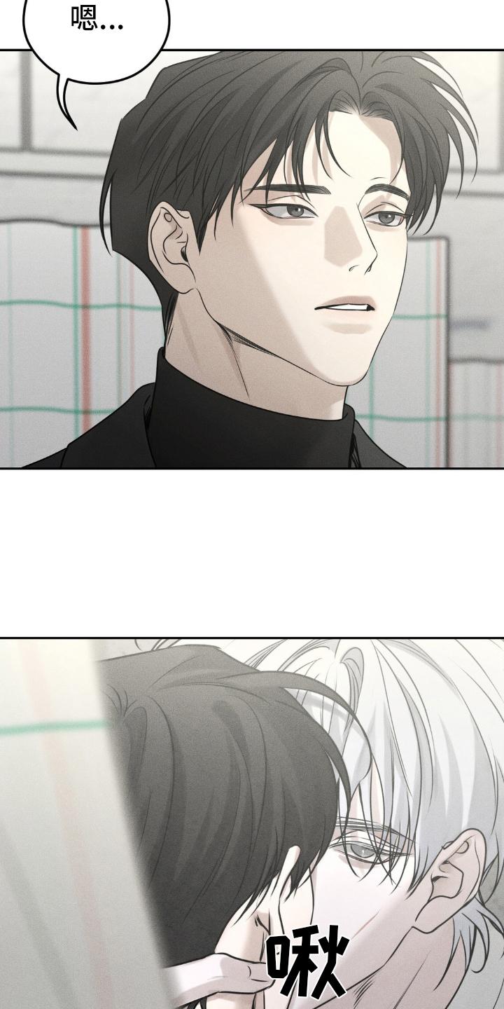 《纯白的假象》第48章：手续 第26页