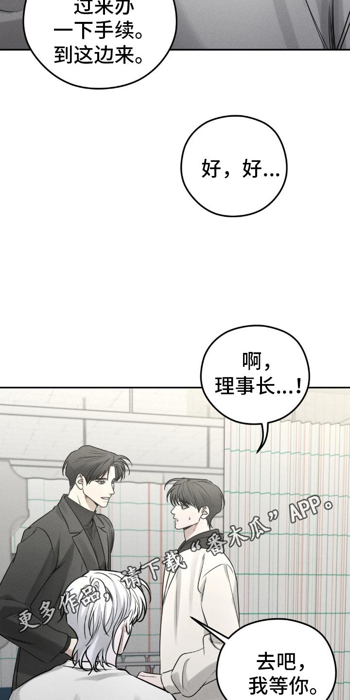 《纯白的假象》第48章：手续 第20页