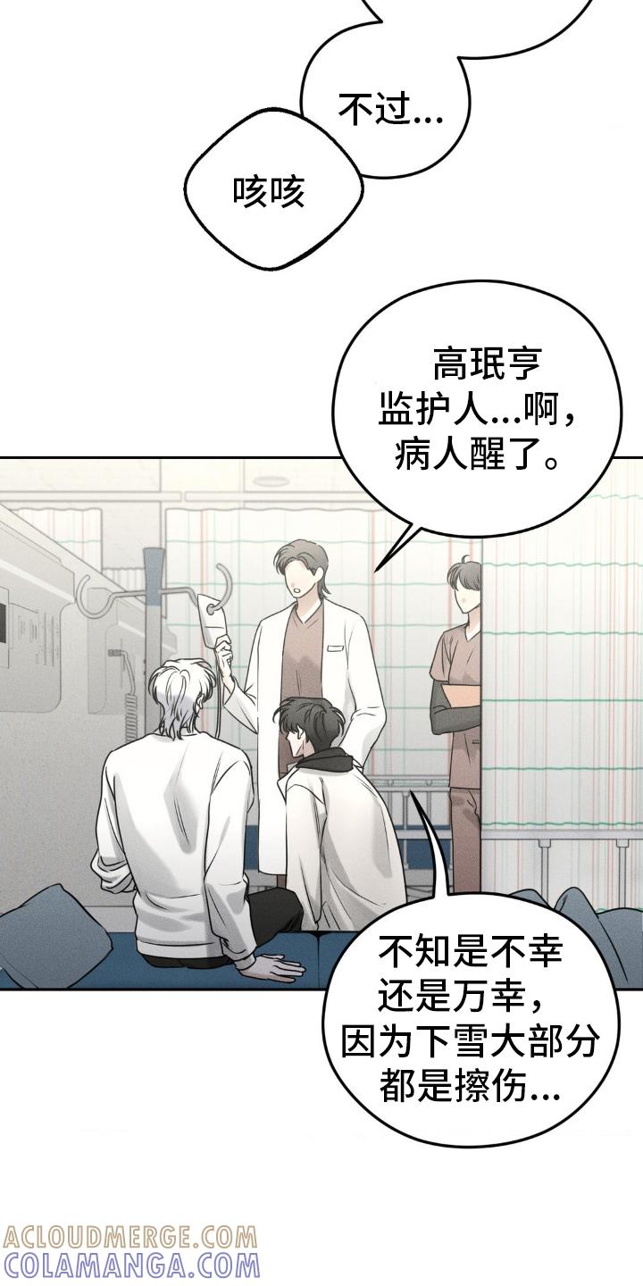 《纯白的假象》第48章：手续 第17页