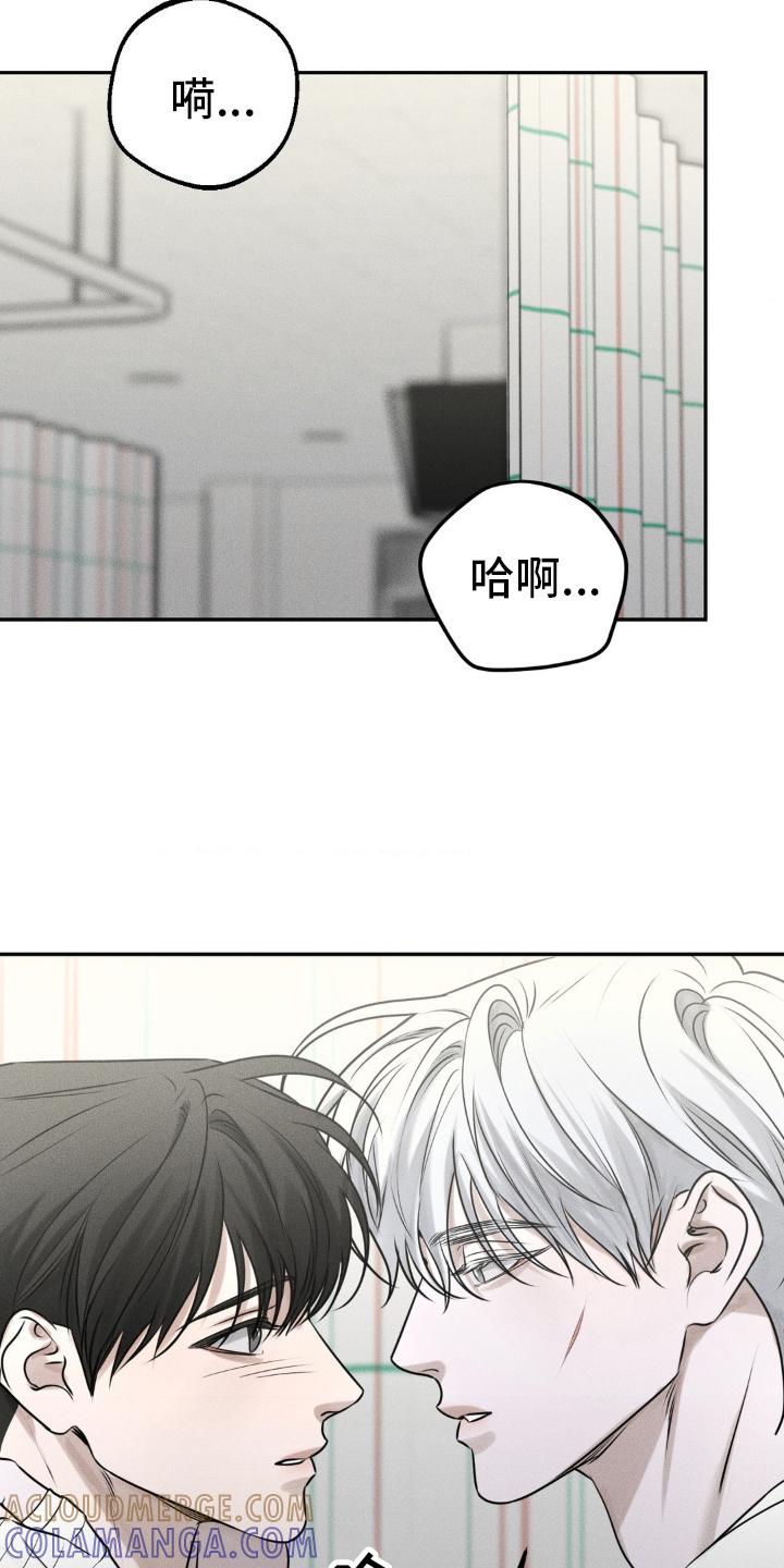 《纯白的假象》第48章：手续 第11页