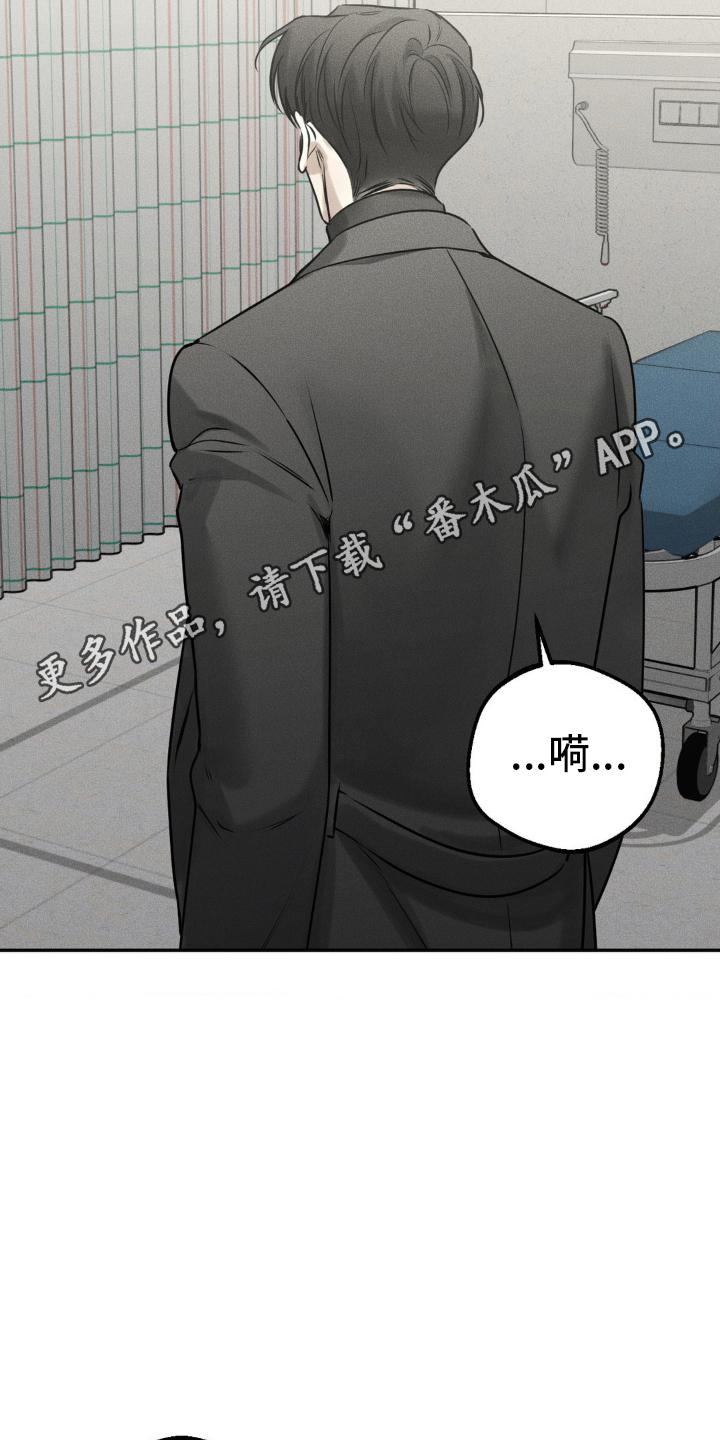 《纯白的假象》第48章：手续 第10页